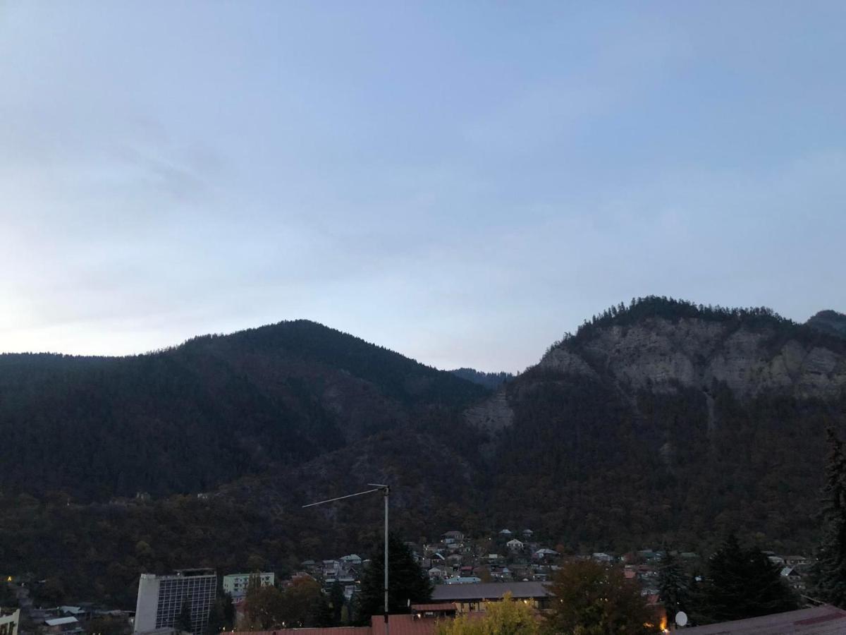 Lukassalomea Apartment Borjomi Ngoại thất bức ảnh
